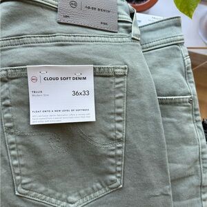 AG Adriano Goldschmied Denim in Light Green